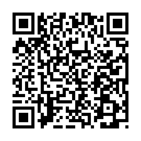 QR code for 2QI453S