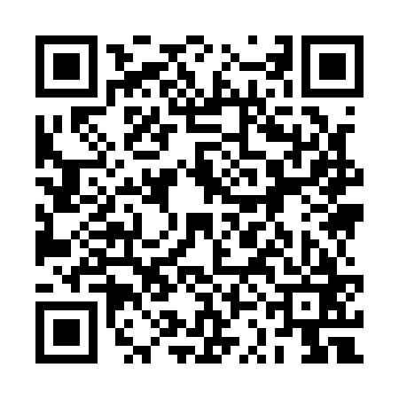 QR code for 2SI163V
