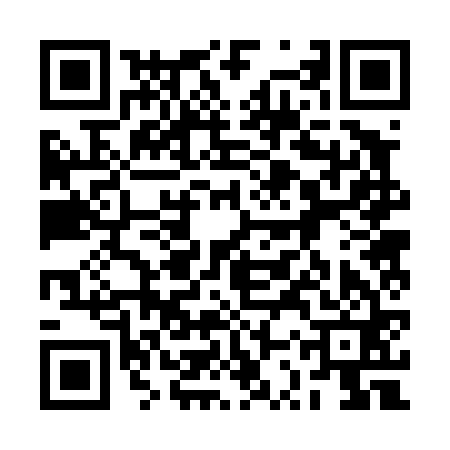QR code for 2SR461F