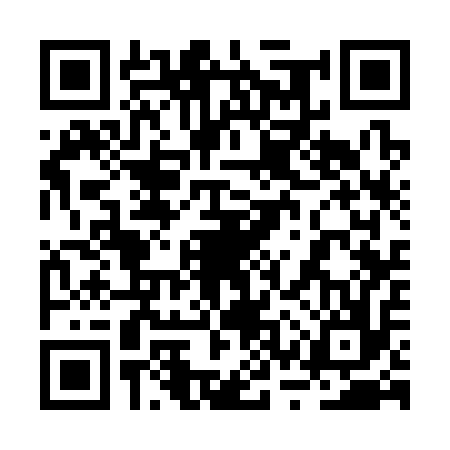 QR code for 2SS316T