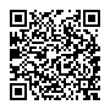 QR code for 2SV291P