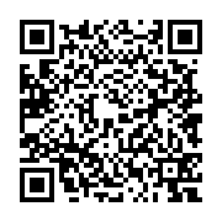 QR code for 2UT533S