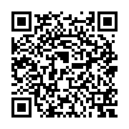QR code for 2VI250X