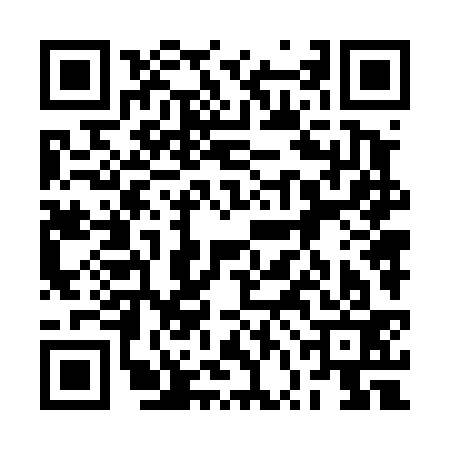 QR code for 2VN433E