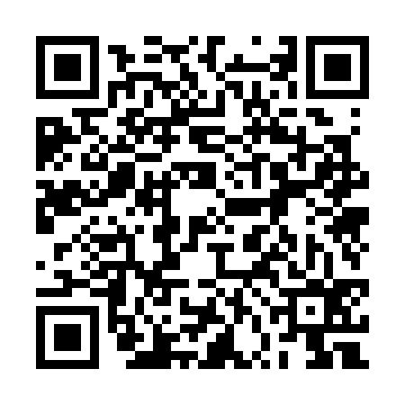 QR code for 2VO336X