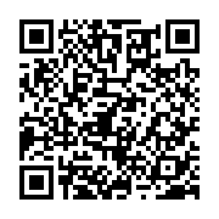 QR code for 2VO378I