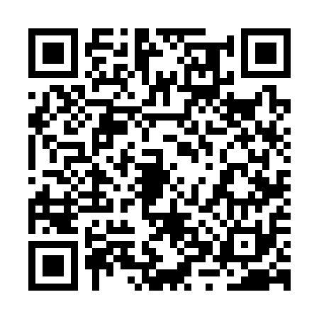 QR code for 2XV311E