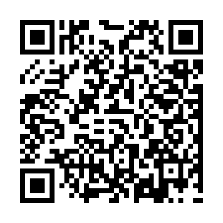 QR code for 2YG370P