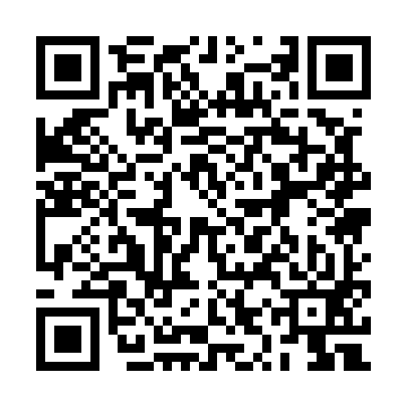 QR code for 2YQ593R