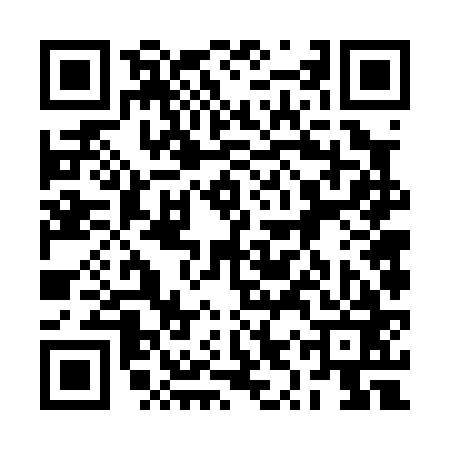 QR code for 2YV063S