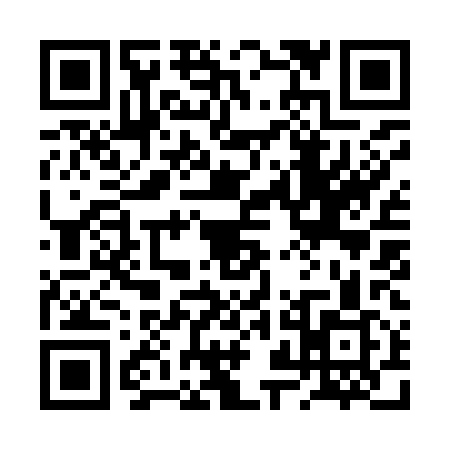 QR code for 2ZI919R