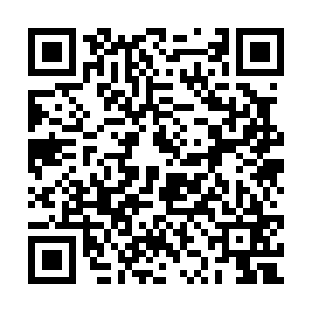 QR code for 2ZK063V