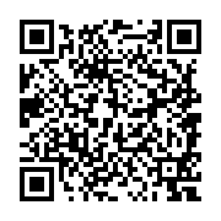 QR code for 2ZN990R