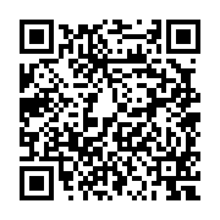 QR code for 2ZO095R