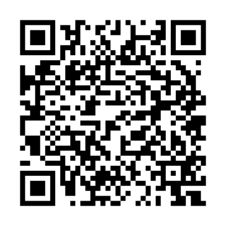 QR code for 2ZZ213B