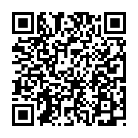 QR code for 3AP919U