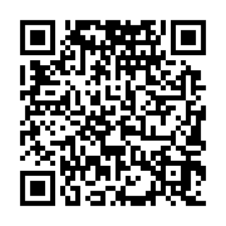 QR code for 3AU313H