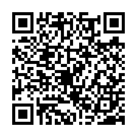 QR code for 3BG602I