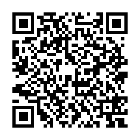 QR code for 3DI228H