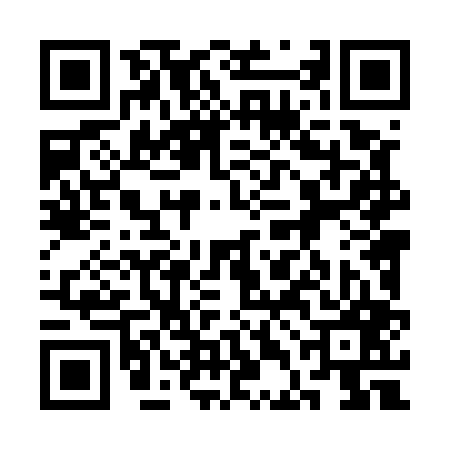 QR code for 3DL507S