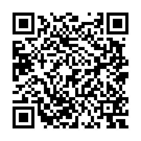 QR code for 3FI453G