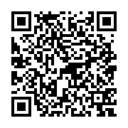 QR code for 3GX371I