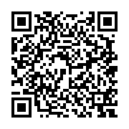 QR code for 3IE410P