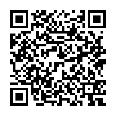 QR code for 3II133B