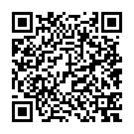 QR code for 3IN530I