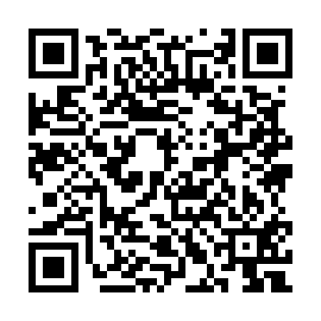 QR code for 3LI511I