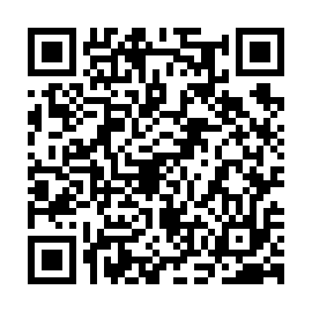 QR code for 3OO617R