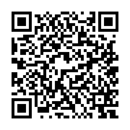 QR code for 3PG165T