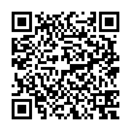 QR code for 3SI438T