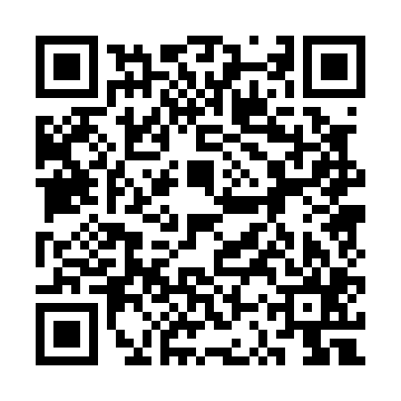 QR code for 3SP005I