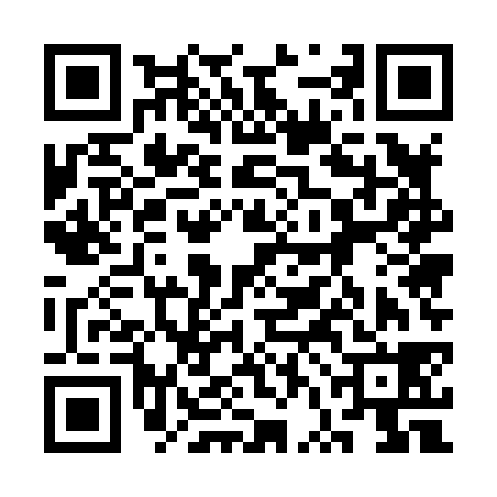 QR code for 3VE838K