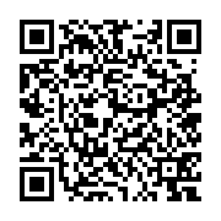 QR code for 3VG371X