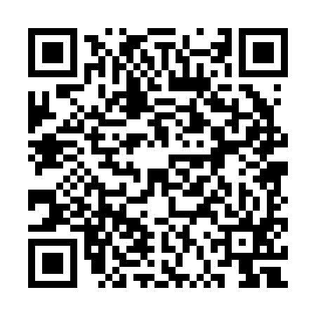 QR code for 3VP295Z