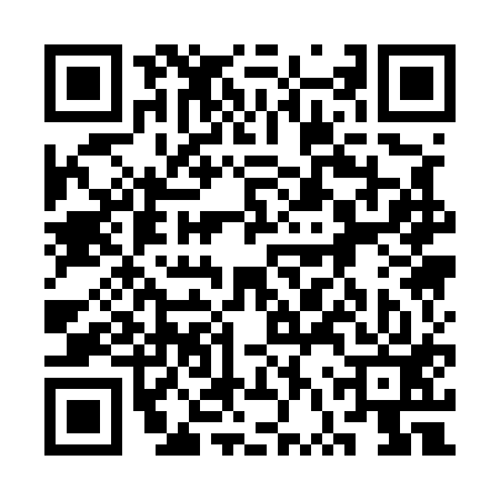 QR code for 3VQ513P