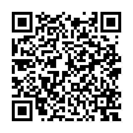 QR code for 3WI307X