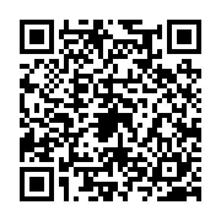 QR code for 3XD225T