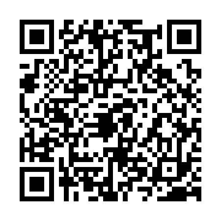 QR code for 3XE333R