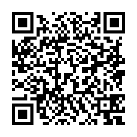 QR code for 3XH938X