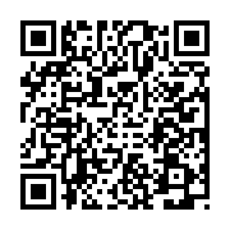 QR code for 4BG511P