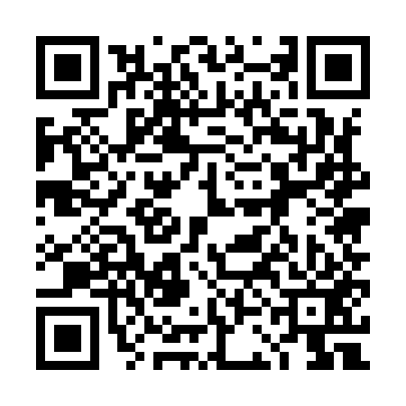 QR code for 4CE953W