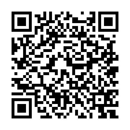 QR code for 4DE575P