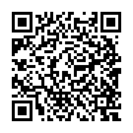 QR code for 4DL647N