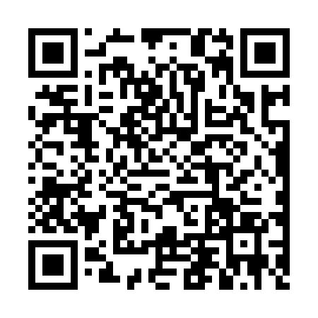 QR code for 4DV941S
