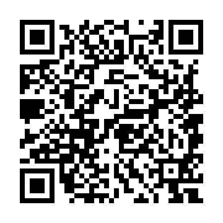 QR code for 4DV990T