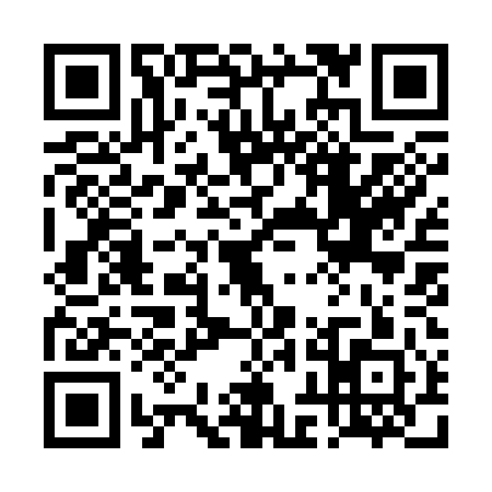 QR code for 4HI341G