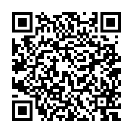 QR code for 4HS387L